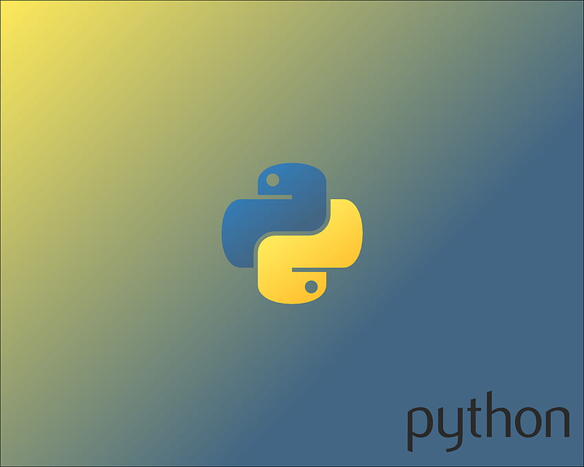 Python Programming Language, python language HD wallpaper