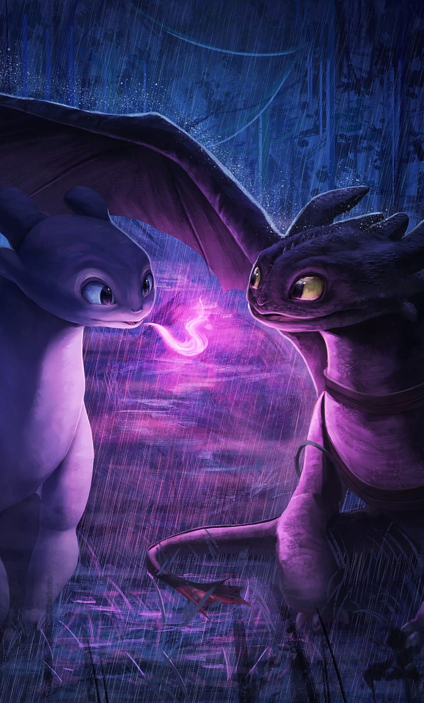 Night Fury, Light Fury, How To Train Your Dragon, Animation HD phone wallpaper