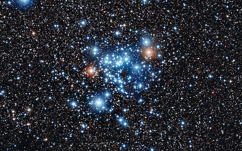 File: of the star cluster NGC 3766.jpg, leonhard euler HD wallpaper
