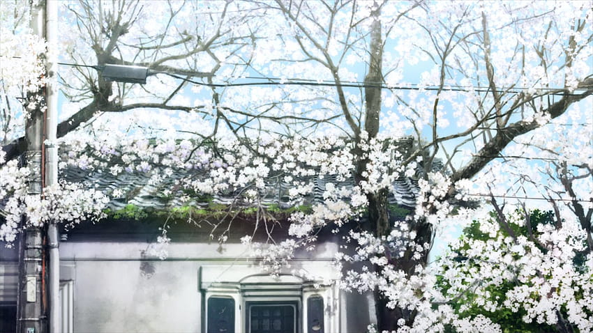 Kokoro Ga Sakebitagatterunda [movie Backgrounds From Film] : R Anime Hd 