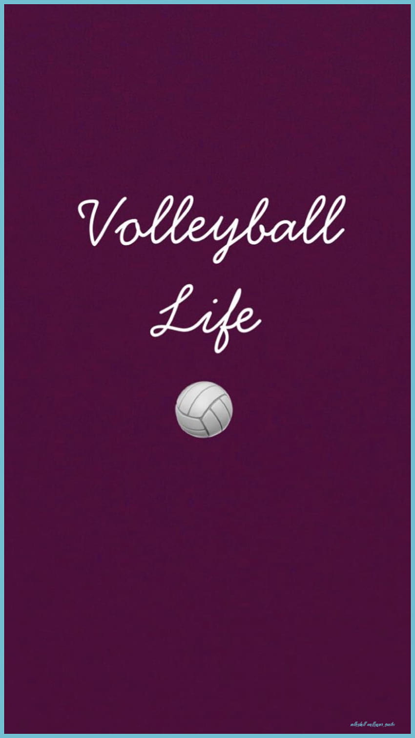 5249 Volleyball Wallpaper Images Stock Photos  Vectors  Shutterstock