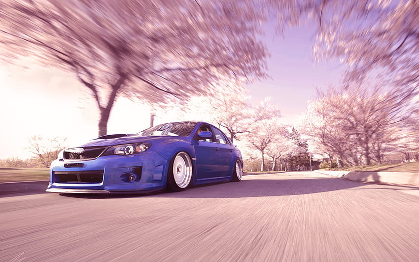 Rally Cars, mobil bunga sakura Wallpaper HD