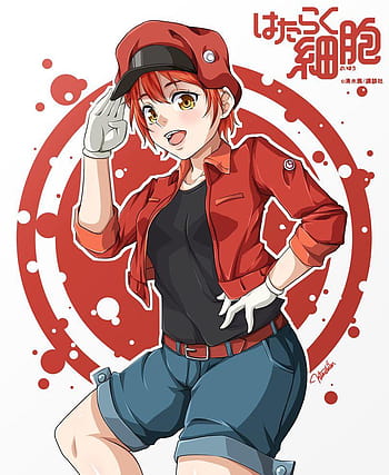 Cells at Work Red Blood Cell Platelet White Blood Cell HD 4K Wallpaper  #5.3003