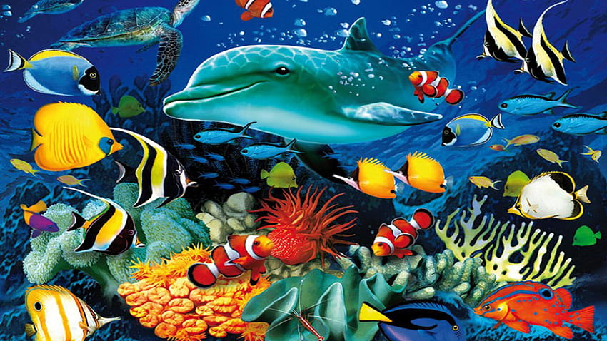 Oceano Mondo sottomarino Vita marina Delfino Tartaruga marina Pesci tropicali colorati , Corallo Per PC, tablet e dispositivi mobili 1920 × 1200 • Per te Per e dispositivi mobili, pc marino Sfondo HD