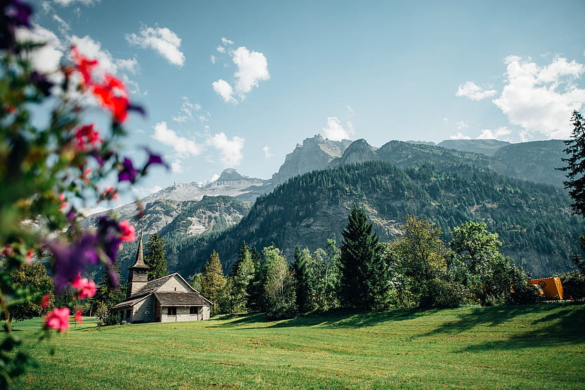 Springtime Stock'ta İsviçre Alpleri, İsviçre Alpleri baharı HD duvar kağıdı