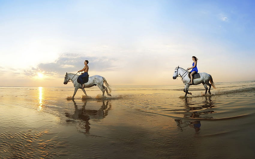 해변에서 두 사람이 승마하는 말 Horse Background HD 월페이퍼