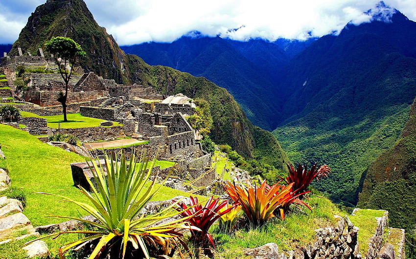 Machu Picchu Pérou, grand écran de machu picchu Fond d'écran HD