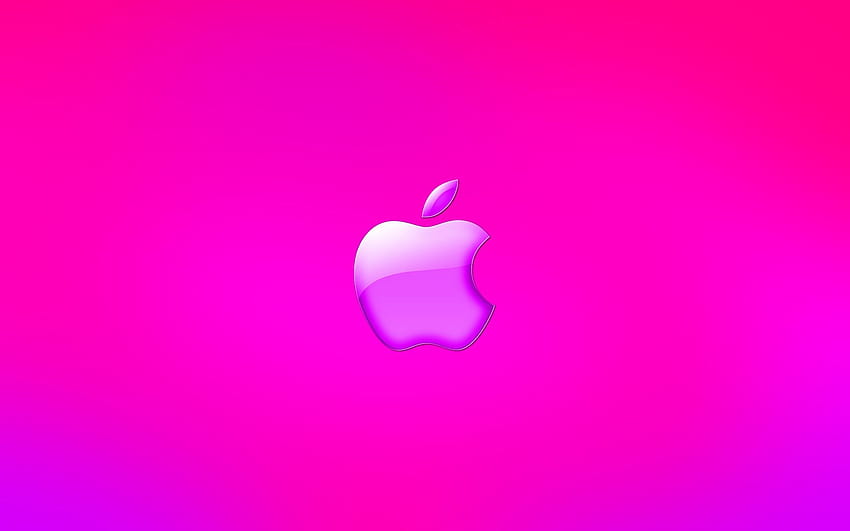 Pink Apple, apple company HD wallpaper