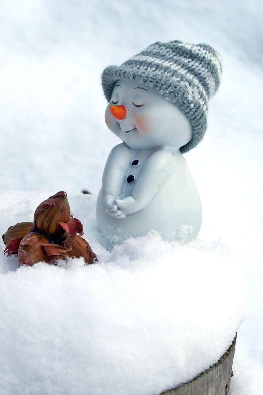 simpatico pupazzo di neve con cappello da neve nel 2019, veri pupazzi di neve invernali Sfondo del telefono HD