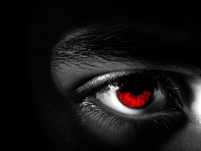 blutige Augen, Auge, Augenbraue, Iris, Wimpern, Nahaufnahme HD-Hintergrundbild