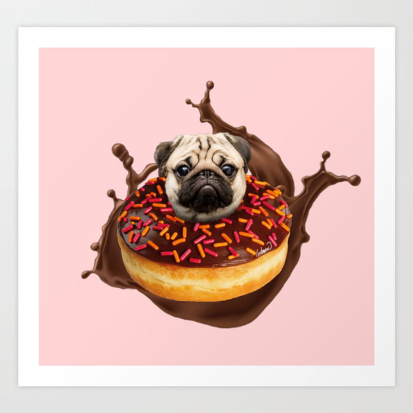 Pug Succulent Chocolate Donut Art Print by lostanaw, pug eating a donut HD phone wallpaper