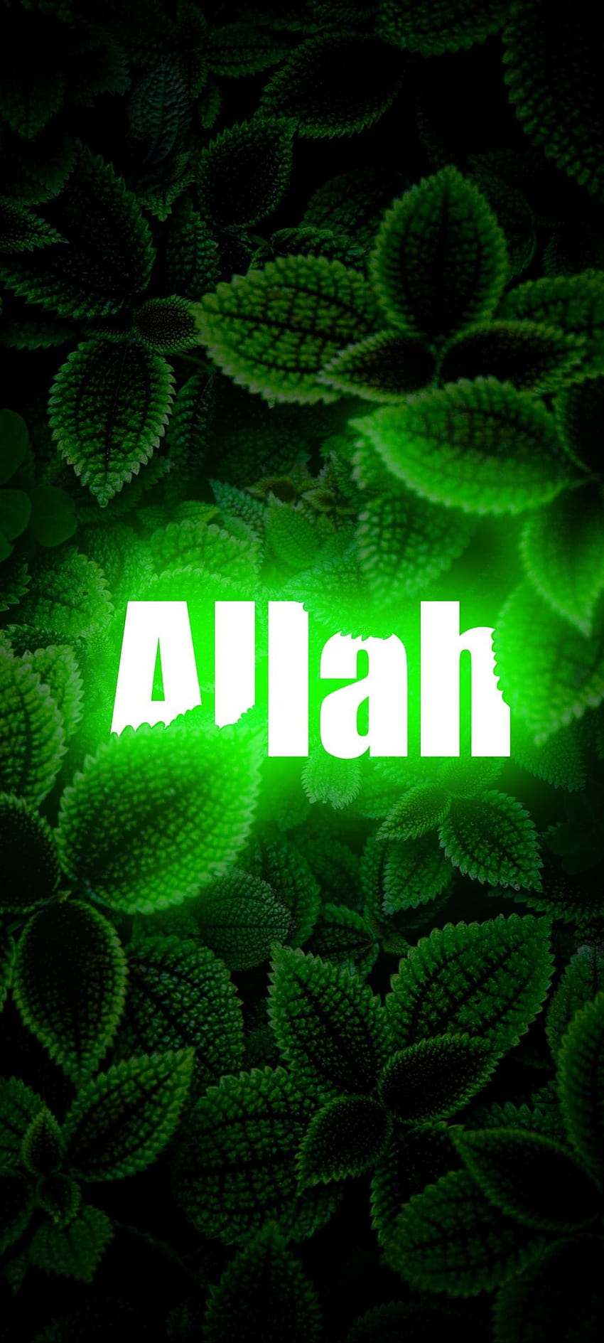 Nombre de Alá, Alá está mirando fondo de pantalla del teléfono