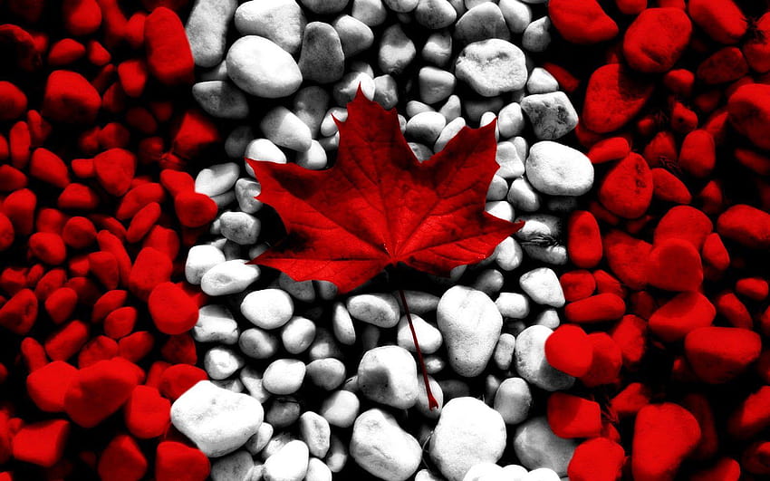 AWESOME CANADA FLAG DESIGNS For Windows 7 HD wallpaper