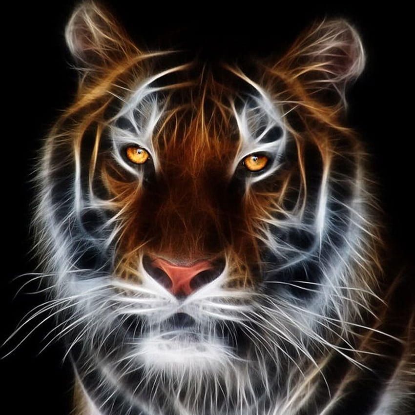 Gambar Harimau 3d, gambar macan 3d HD phone wallpaper