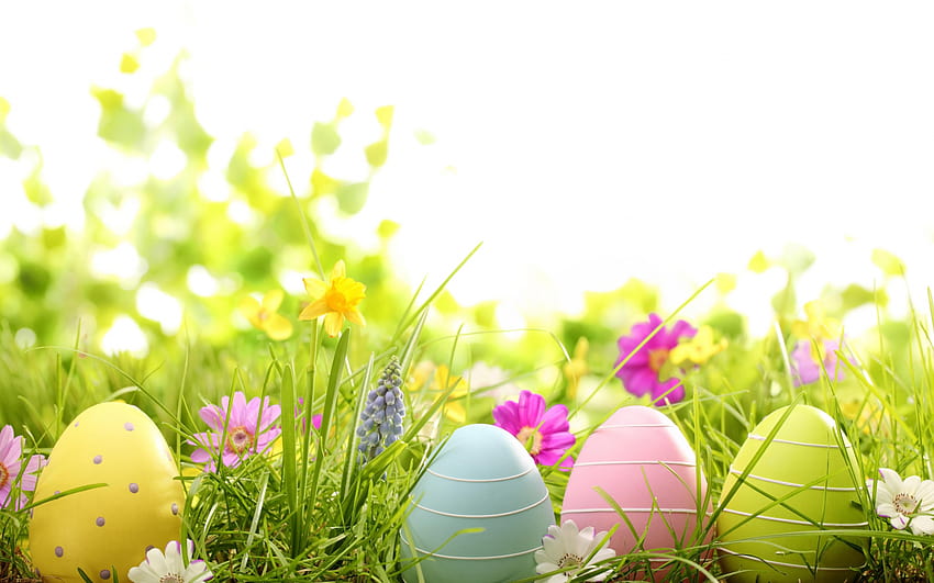 colorful easter eggs in grass 4 Chatham Presbyterian [4520x3013] for your , Mobile & Tablet, easter eggs aesthetic HD wallpaper