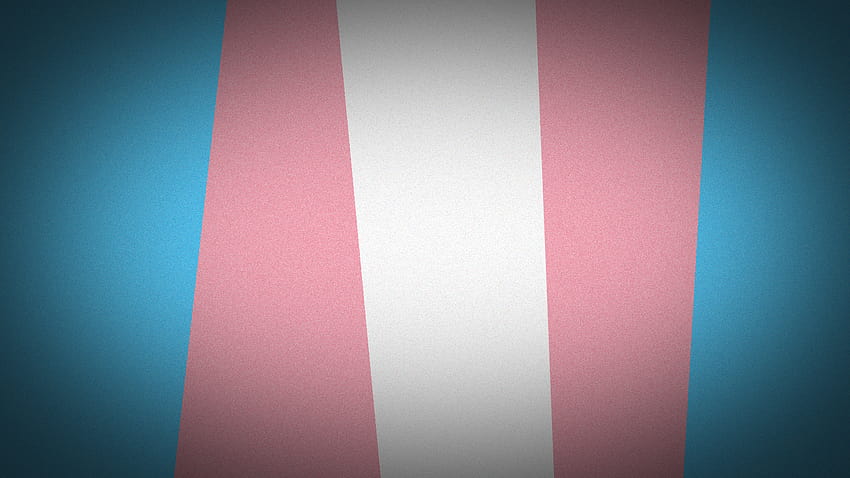 Trans Flag, transgender computer HD wallpaper