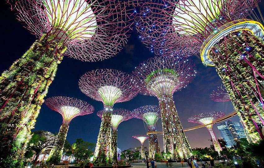 lights, tower, Singapore, Gardens by the Bay, Singapore , section город HD wallpaper