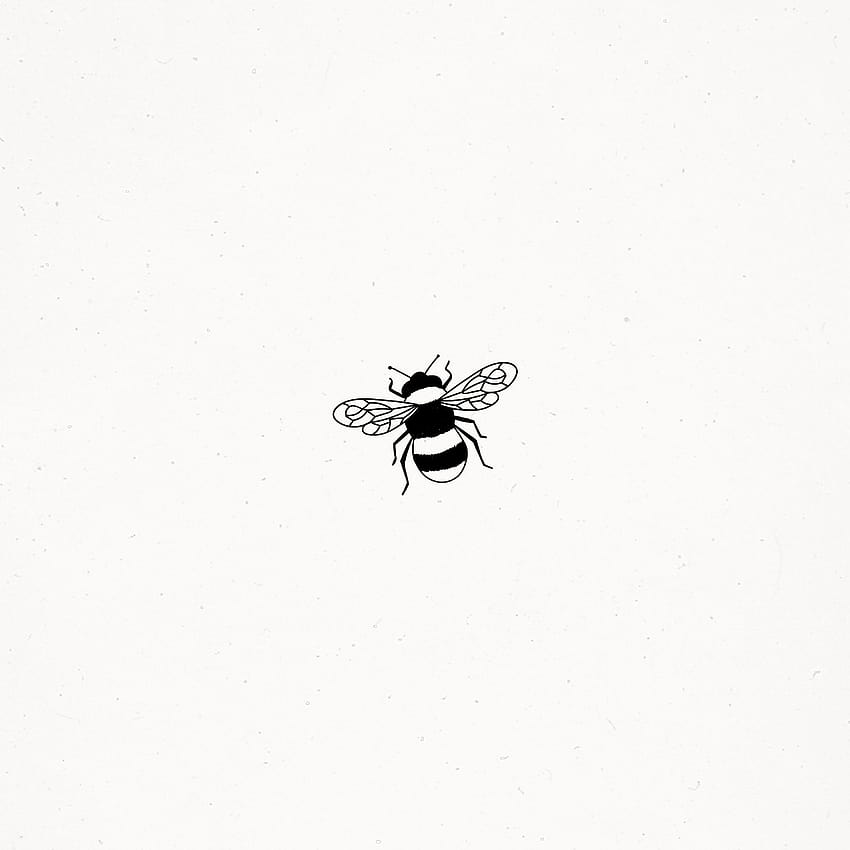 Cute Bee Illustration Doodle Drawing Insect Nature Living Life ...