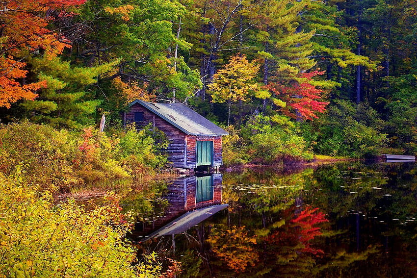 Lakeshore Cabin Colorful Lake Wooden Colors Trees Nature Fall Hut, hut background HD wallpaper