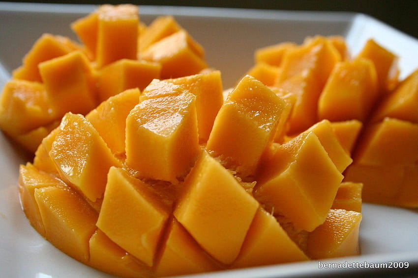 Il Mango: Umido, Maestoso e Moresco, albero di mango alfanso pieno Sfondo HD