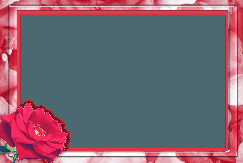 Love frame png HD wallpapers | Pxfuel