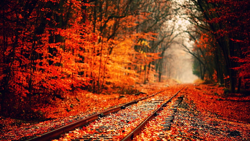 7 Fall Season, autumn weather HD wallpaper