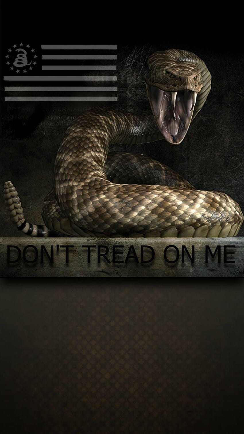 Top 69 Dont Tread On Me Wallpaper Latest In Cdgdbentre
