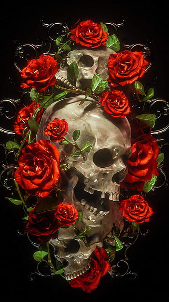 Black Skull with Rose Wallpapers on WallpaperDog