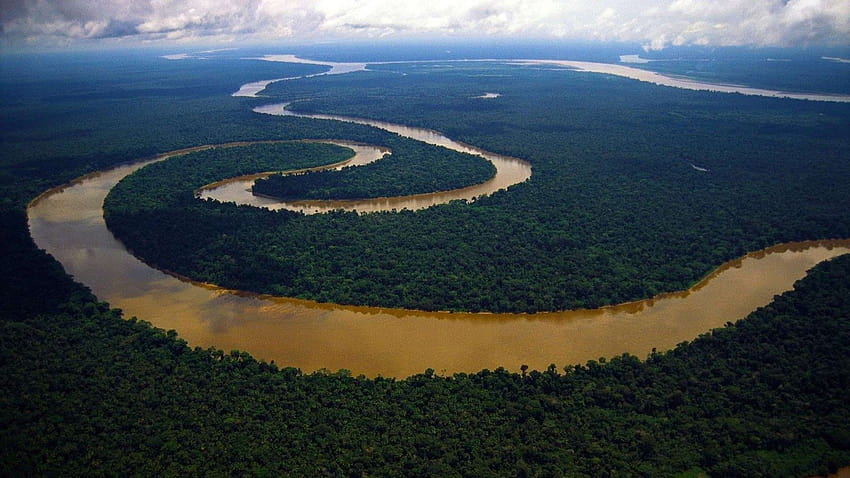 Amazon River, amazonas HD wallpaper