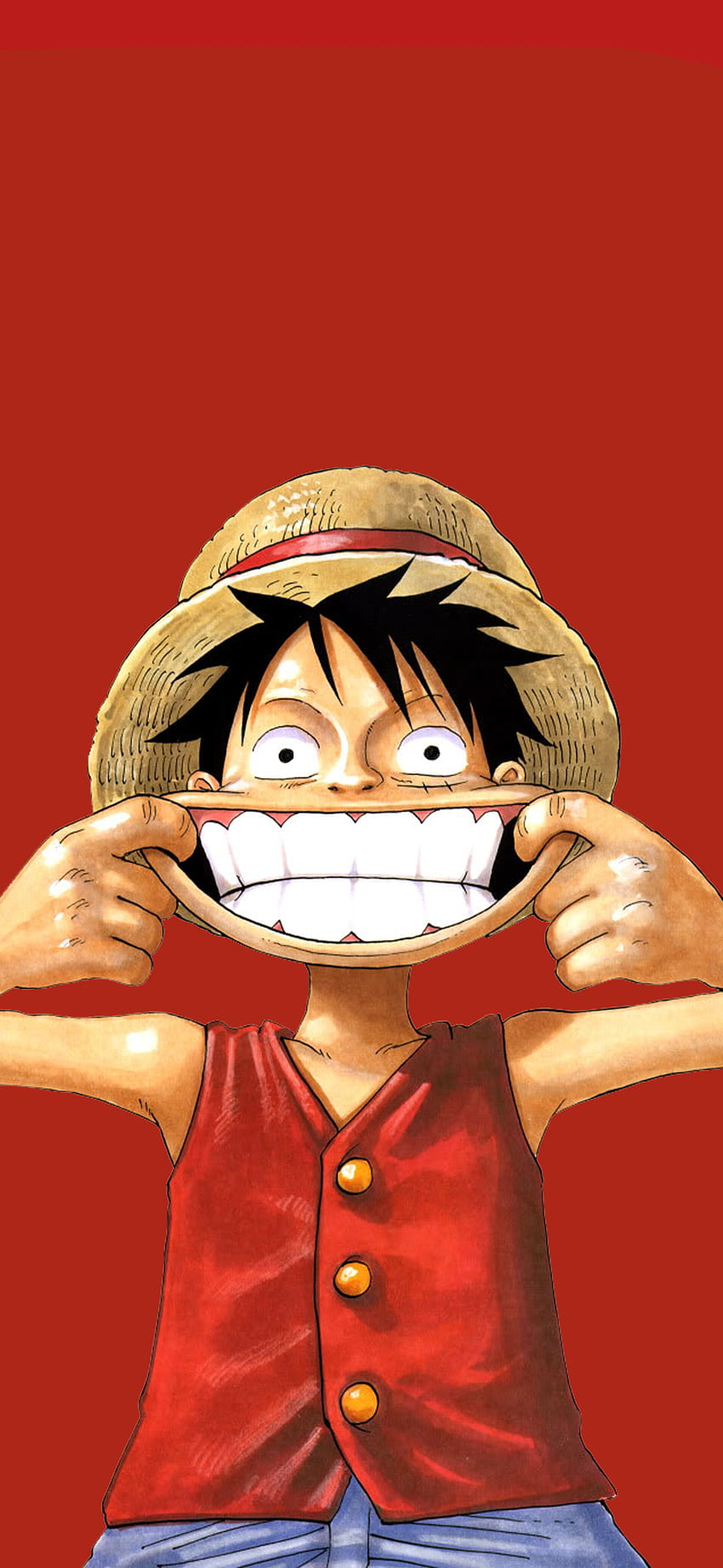 Monkey D. Luffy, uśmiech Luffy Tapeta na telefon HD