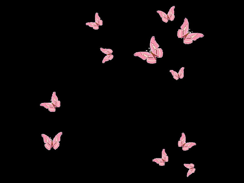 Ästhetische Schmetterlings-Rosa-Liste, rosa Schmetterlingsästhetik HD-Hintergrundbild