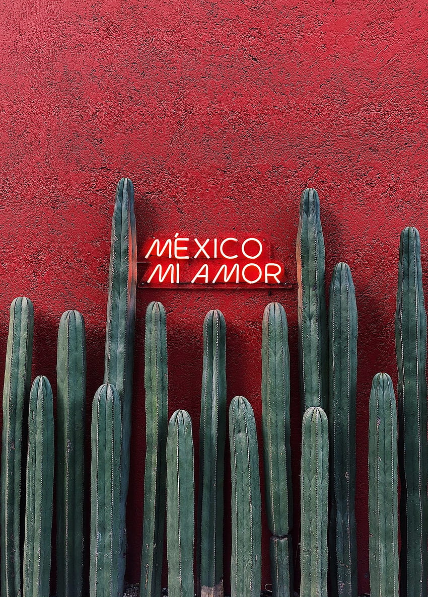 Mexico Mi Amor, mexicano HD phone wallpaper