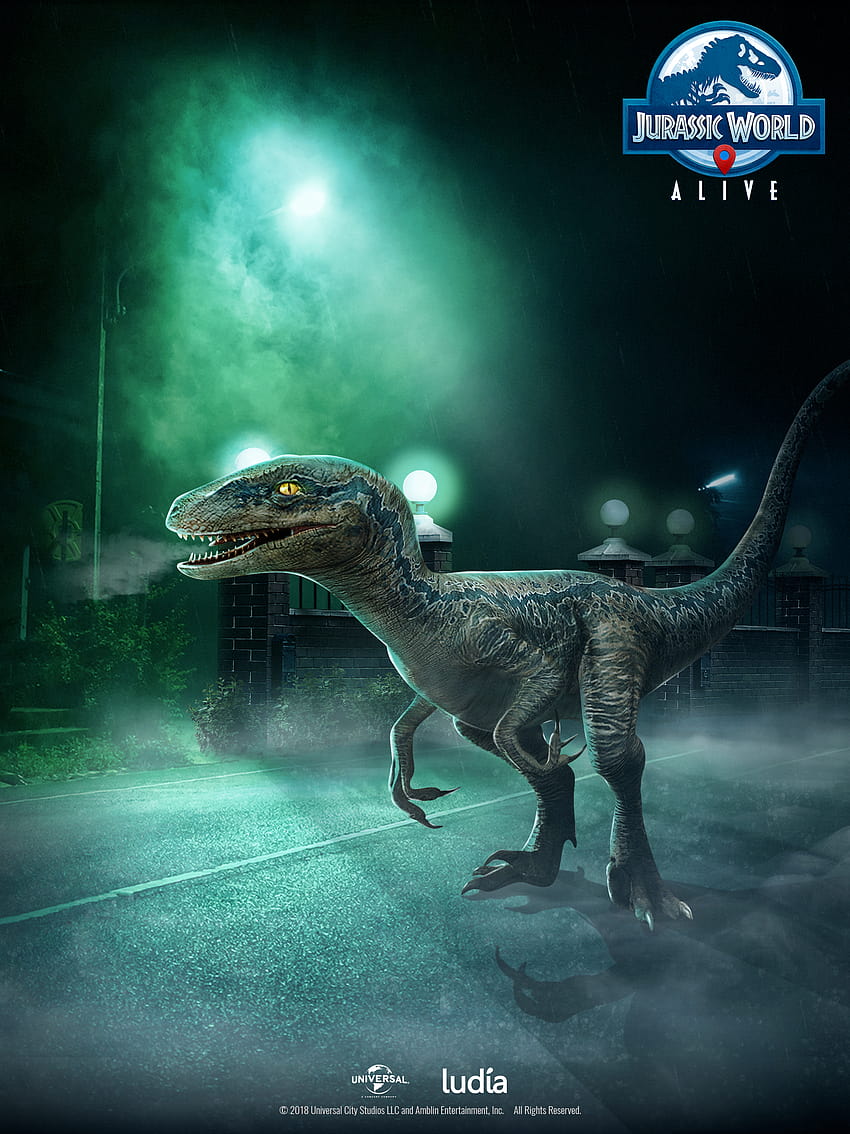 Velociraptor azul, mundo jurásico azul fondo de pantalla del teléfono