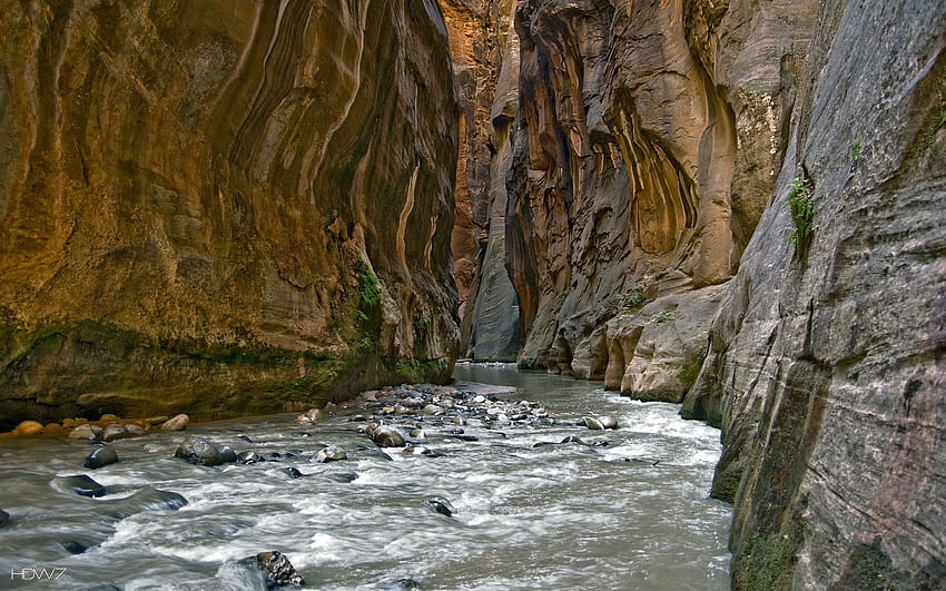 River in zion narrows utah, the narrows HD wallpaper | Pxfuel