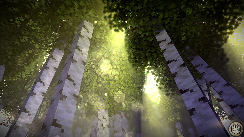 Foresta di betulle, foresta di minecraft Sfondo HD