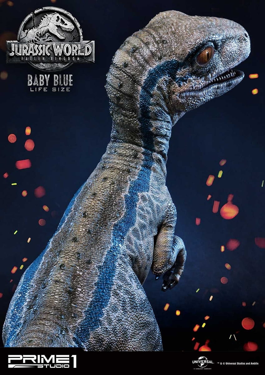 Lebensgroße babyblaue Statue von Prime 1 ...news.toyark, blau der Velociraptor HD-Handy-Hintergrundbild