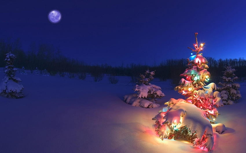 Winter Night Moon Christmas Tree Garlands Nature คืนพระจันทร์เต็มดวงในฤดูหนาว วอลล์เปเปอร์ HD