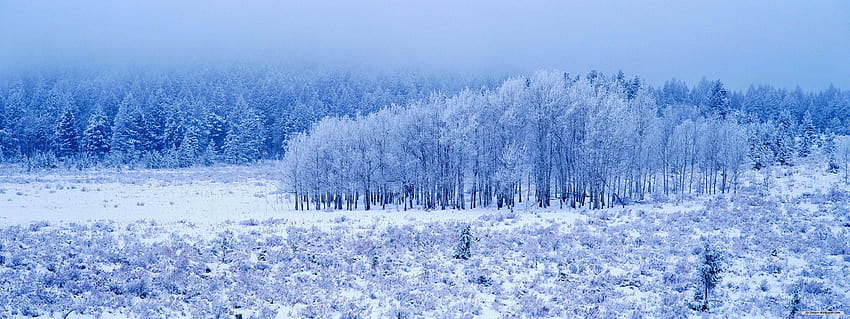 desktop wallpaper 4 dual monitor winter dual monitor