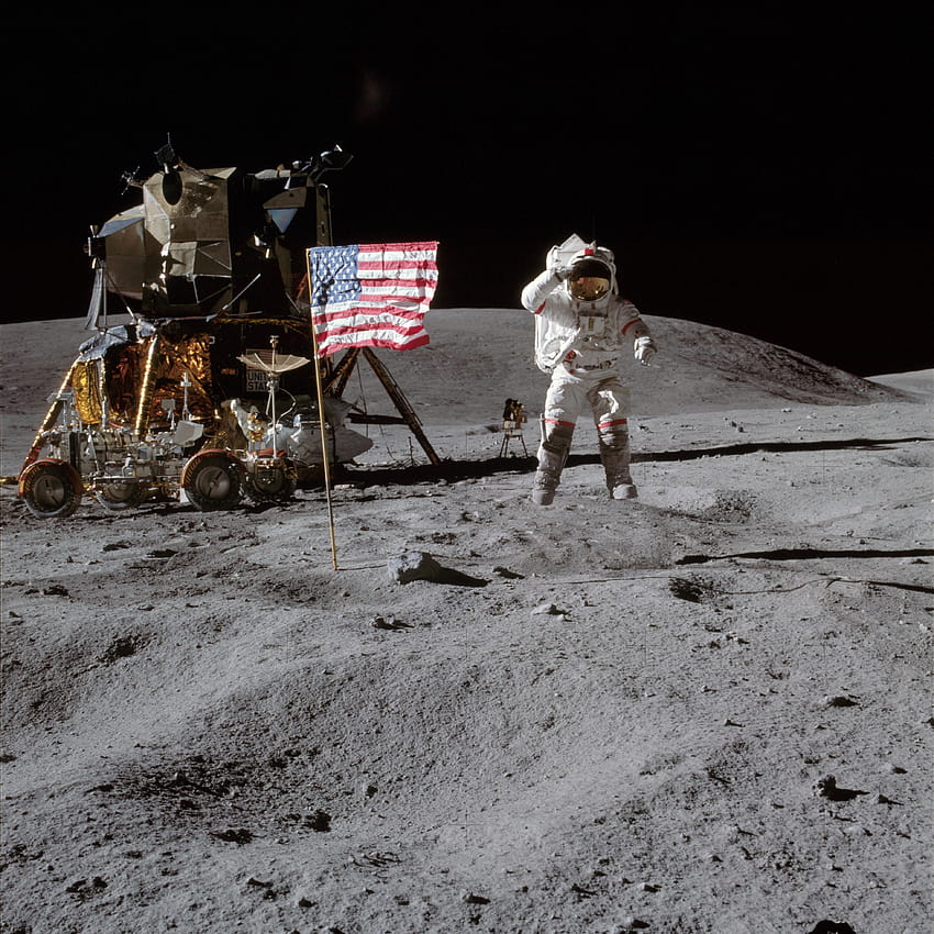 아폴로 11호 임무 중 최고와 다른 호기심 HD 전화 배경 화면