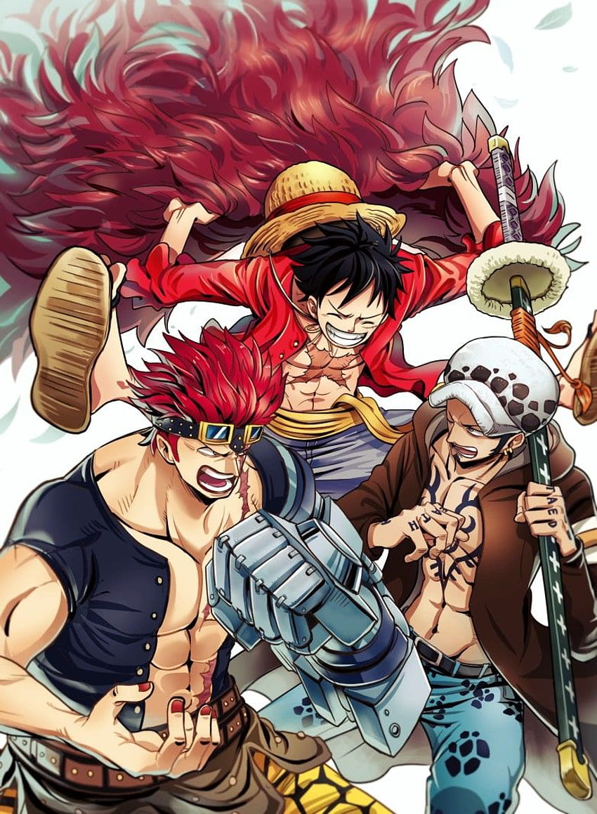 846 Wallpaper Luffy Law Kid Images & Pictures - MyWeb