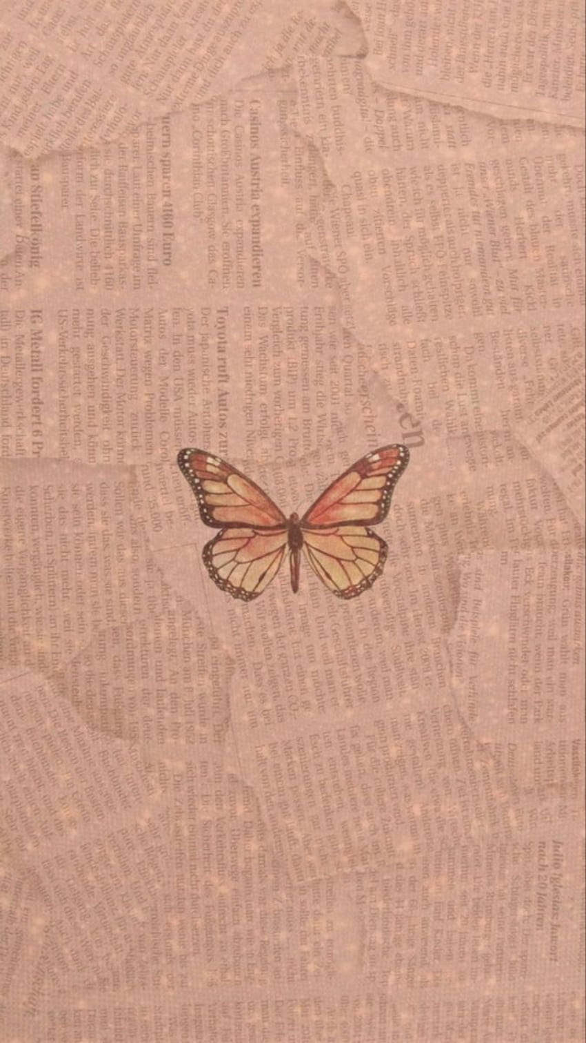100 Butterflies Laptop Wallpapers  Wallpaperscom