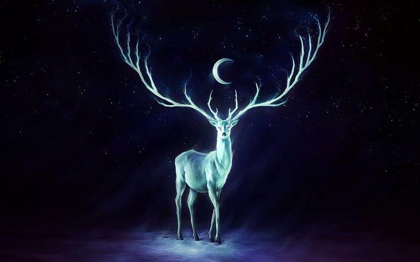 Deer Art, deer pc HD wallpaper
