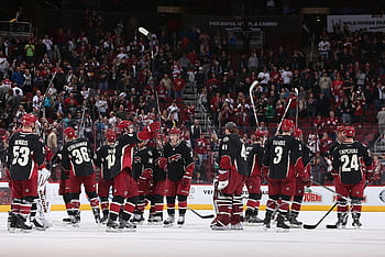 Arizona Coyotes wallpaper by Densports - Download on ZEDGE™
