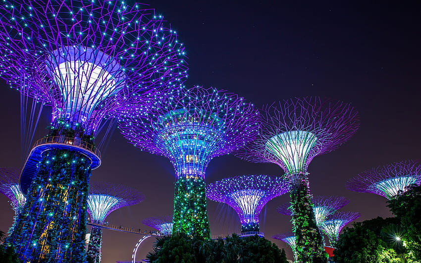 Сингапурски градини край залива Природа нощно време Приказни светлини 2560x1600 Нощ HD тапет