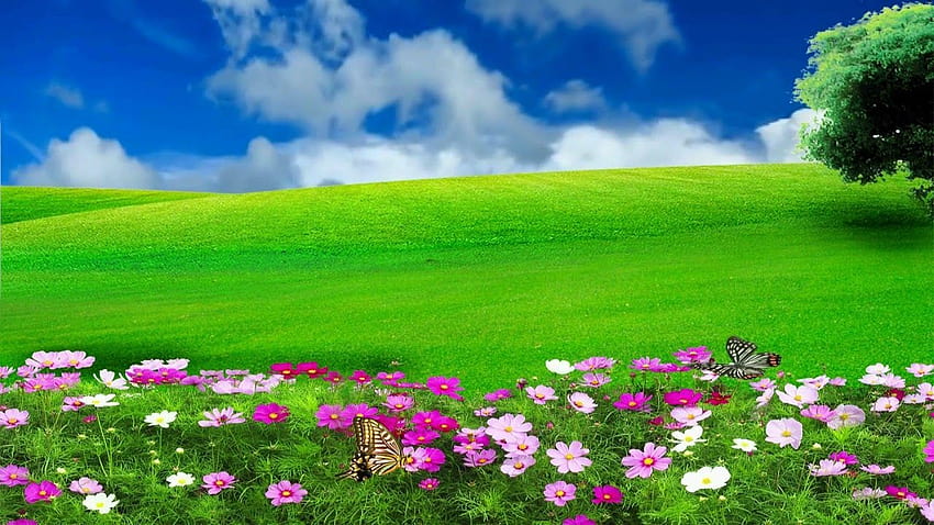 Beautiful Scenery Wallpaper HD Download Free  PixelsTalkNet
