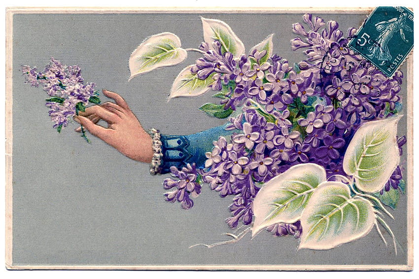 8 Clip Art Lilacs!, little bird and lilacs HD wallpaper