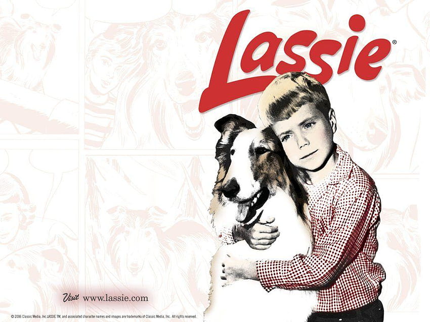 Classic Television Revisited Lassie Wpaper And Lassie Tv Show Hd