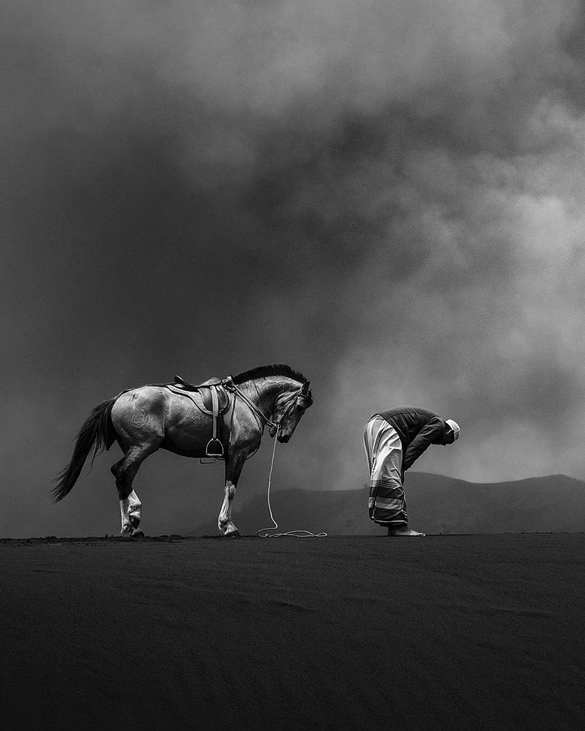Samir Latif, Pferd und Mann beten HD-Handy-Hintergrundbild