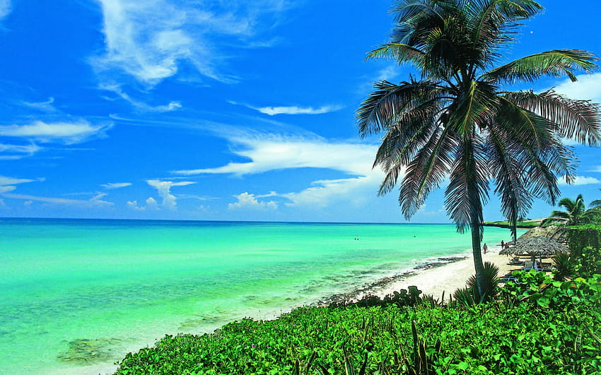 Cuba, spiaggia Sfondo HD