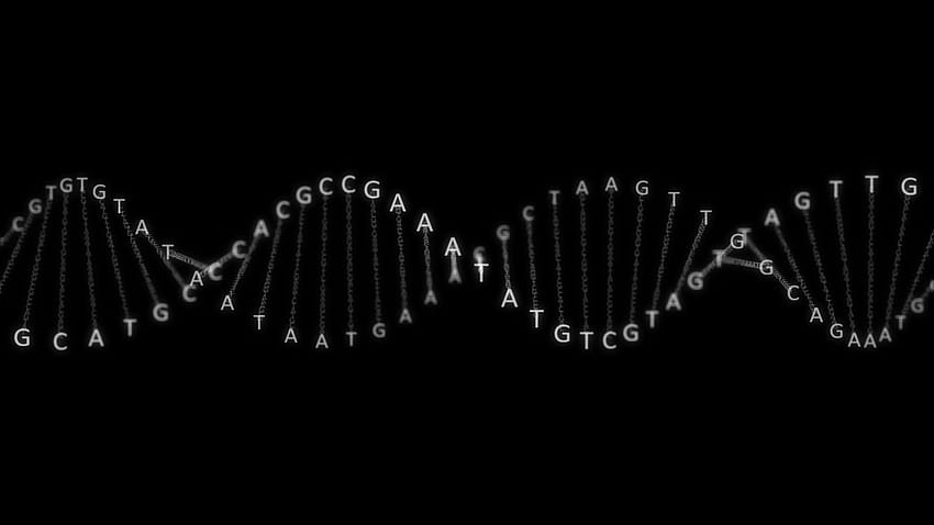 Gruppo DNA ad alta risoluzione, catena del DNA Sfondo HD